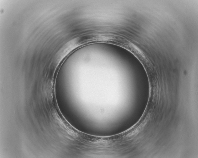 X0000086991178200704231837