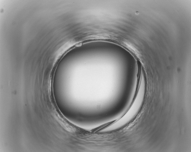 X0000086991179200704231837