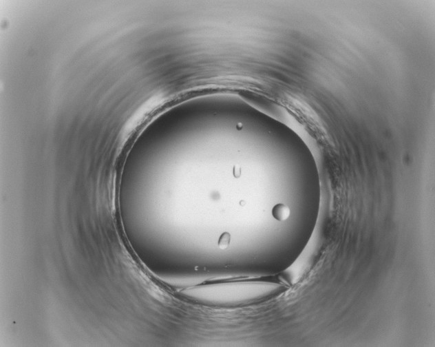 X0000086991180200704231837