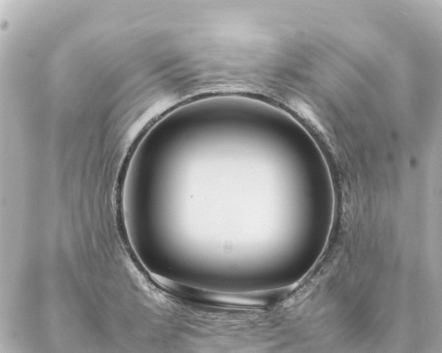 X0000086991181200704231837