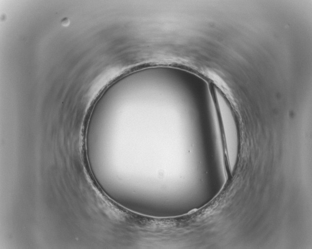 X0000086991183200704231837