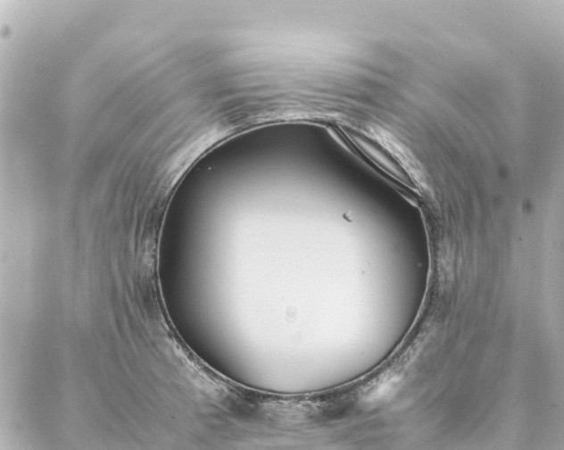 X0000086991185200704231837