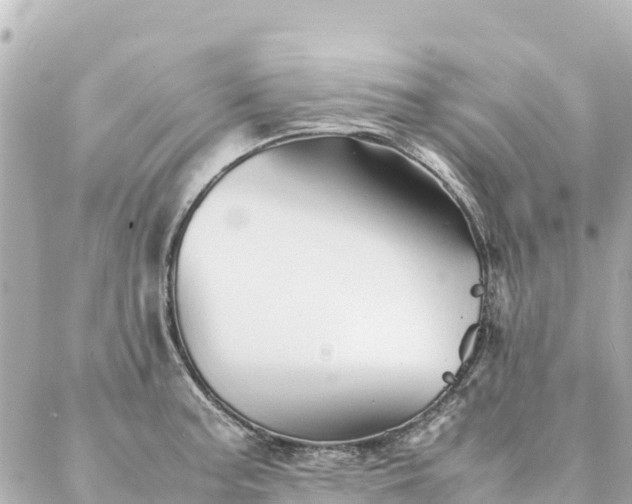 X0000086991187200704231837