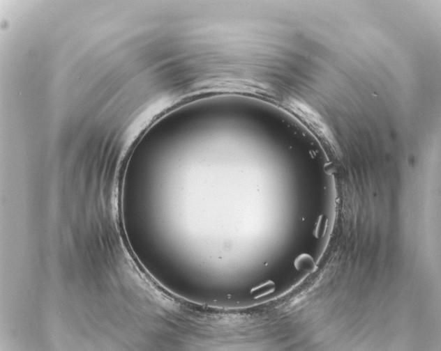 X0000086991188200704231837