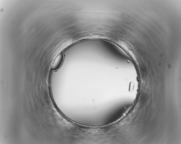 X0000086991189200704231837