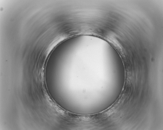 X0000086991190200704231837