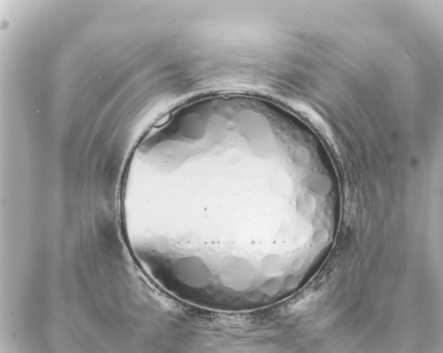 X0000086991191200704231837