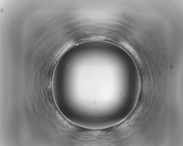 X0000086991193200704231837