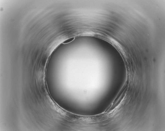 X0000086991194200704231837