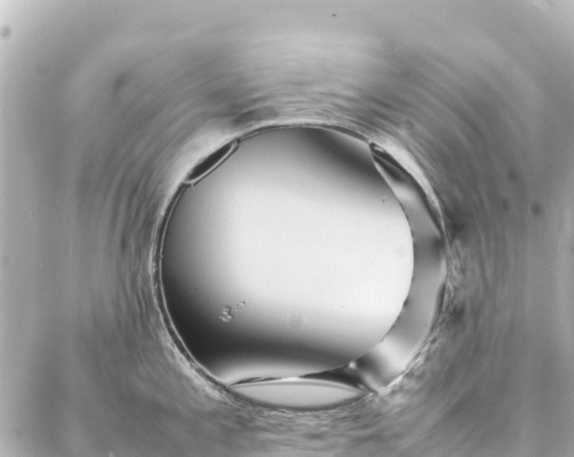 X0000086991197200704231837