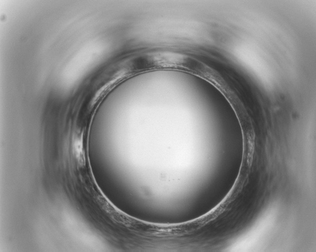 X0000086991198200704231837