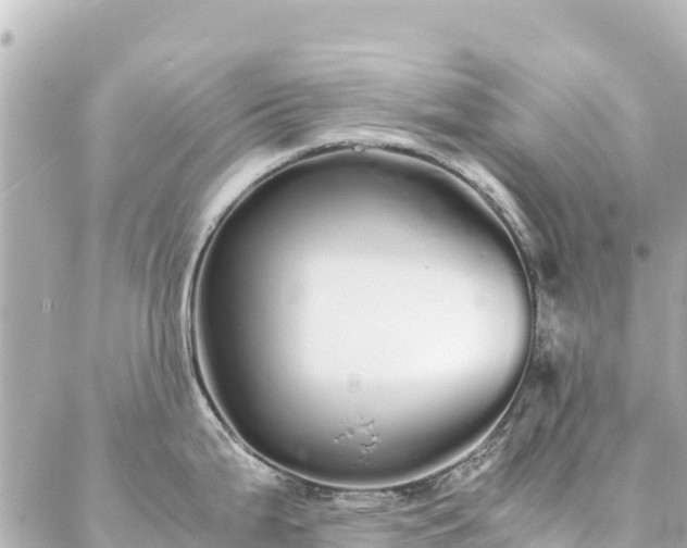 X0000086991199200704231837