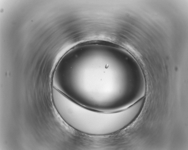 X0000086991200200704231837