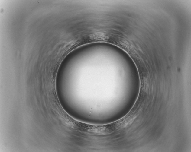 X0000086991201200704231836