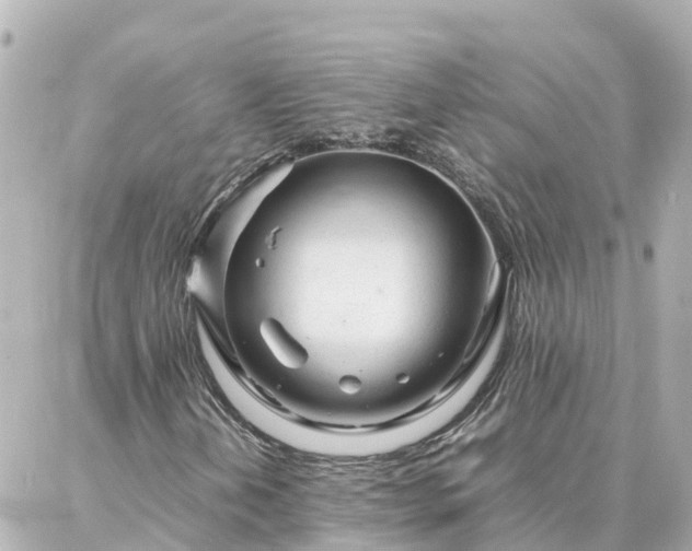 X0000086991202200704231836