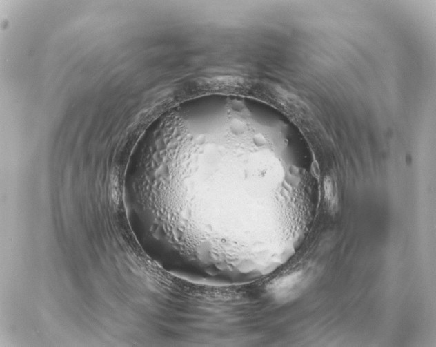 X0000086991203200704231836