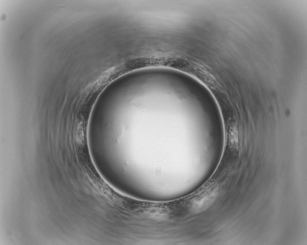 X0000086991204200704231836