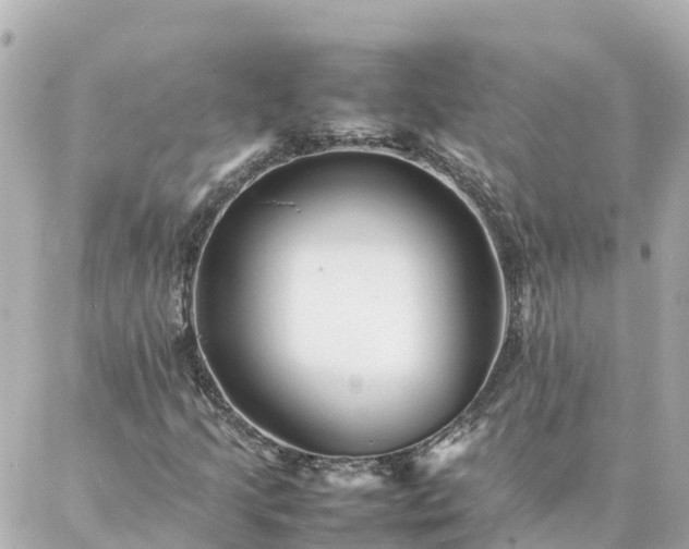 X0000086991205200704231836