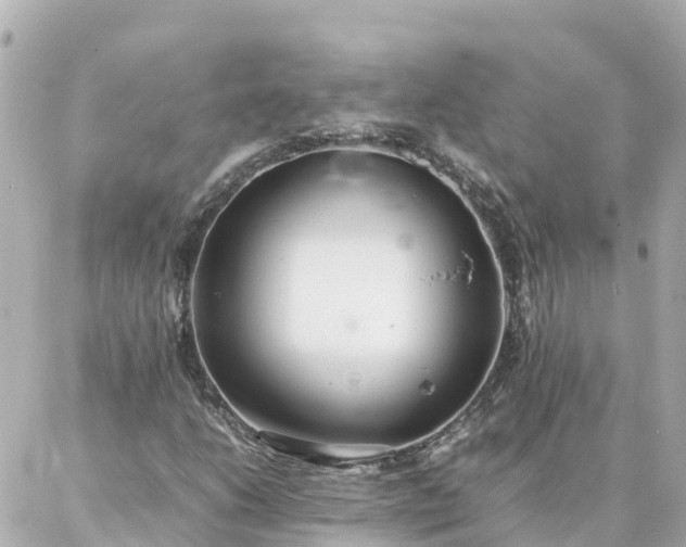 X0000086991206200704231836