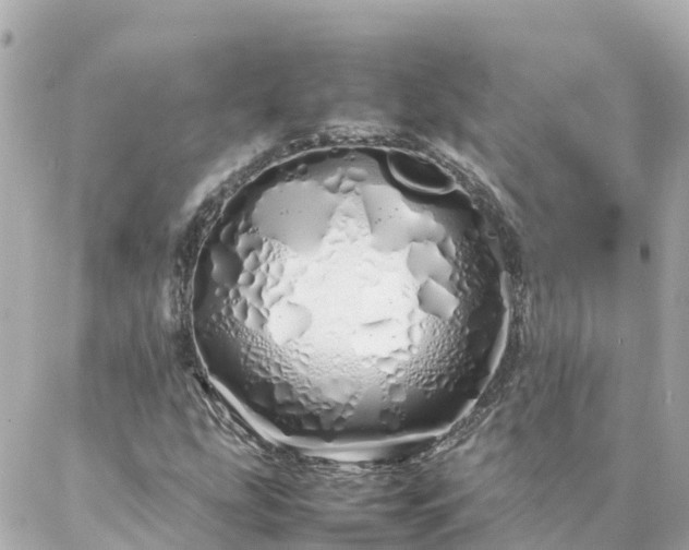 X0000086991207200704231836