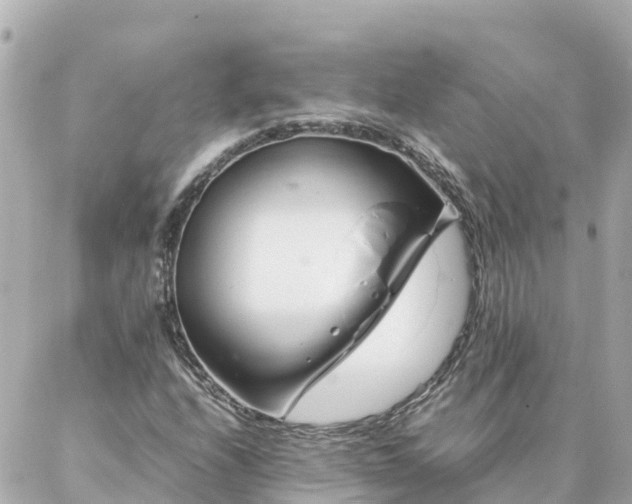 X0000086991208200704231836