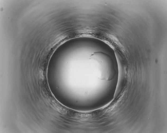 X0000086991209200704231836