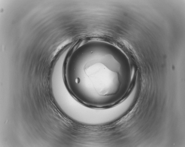 X0000086991210200704231836