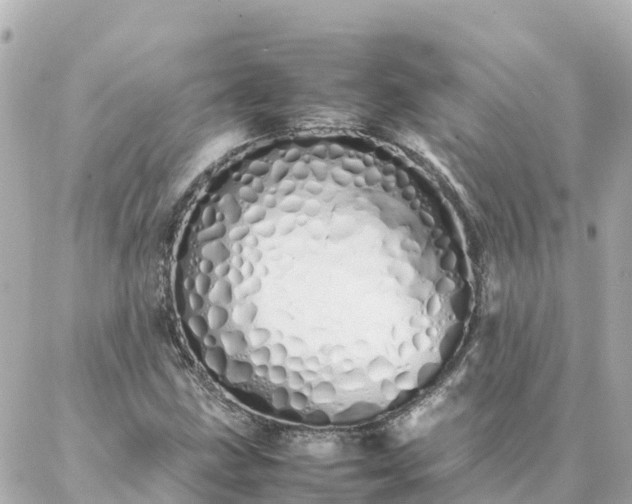 X0000086991211200704231836