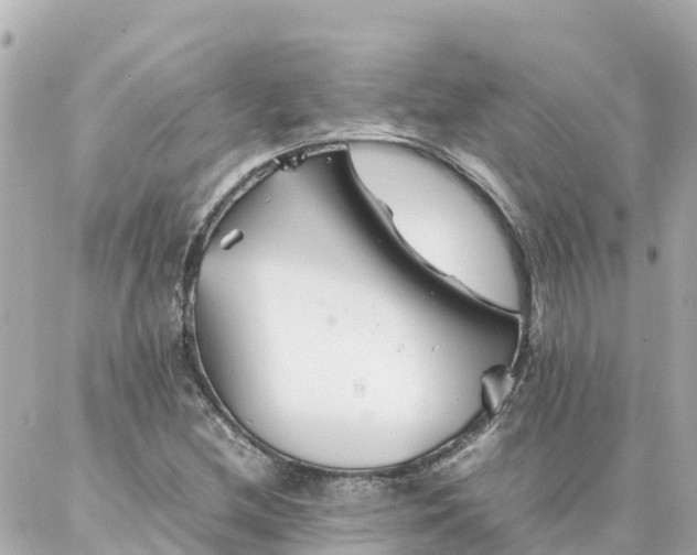 X0000086991212200704231836