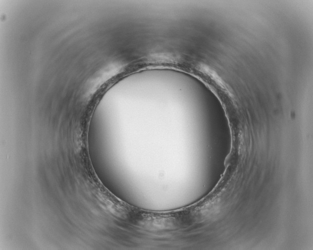 X0000086991213200704231836