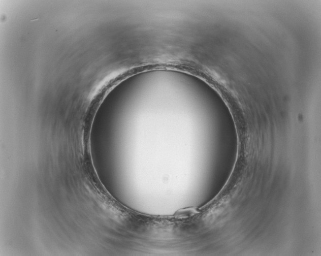 X0000086991214200704231836