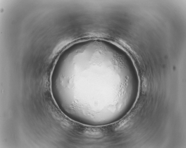 X0000086991215200704231836