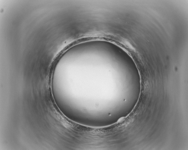 X0000086991216200704231836