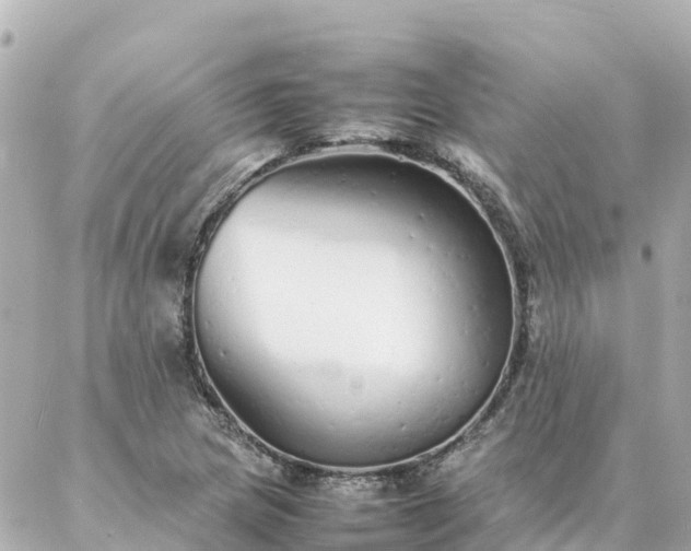 X0000086991217200704231836