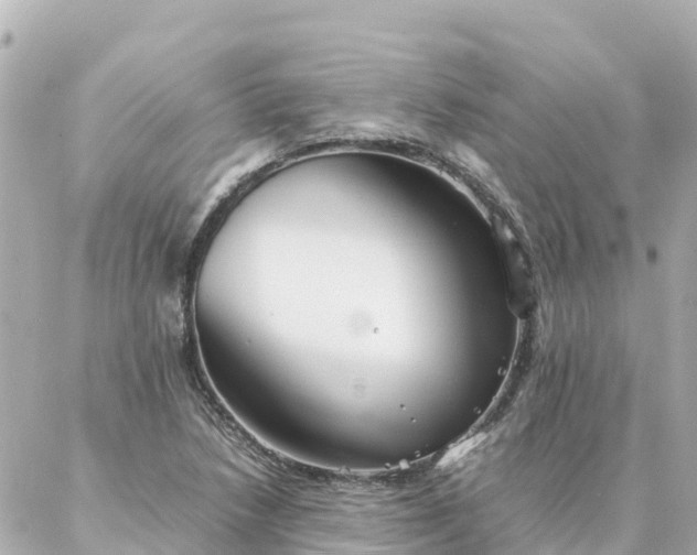 X0000086991218200704231836