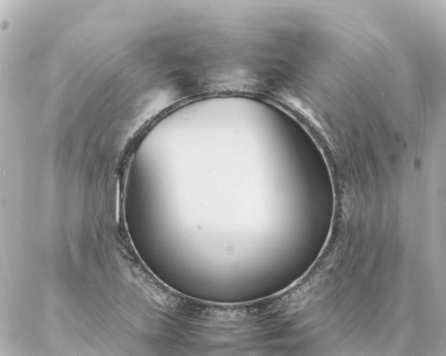 X0000086991219200704231836