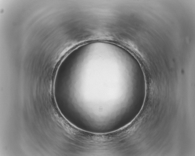 X0000086991220200704231836