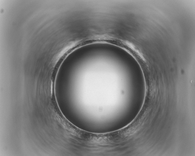 X0000086991221200704231836