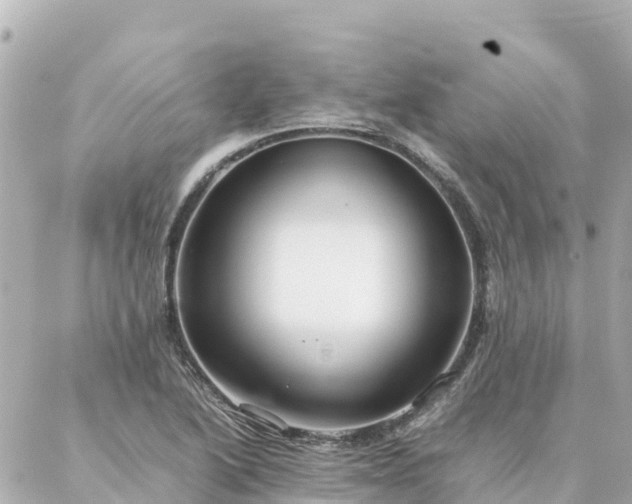 X0000086991222200704231836