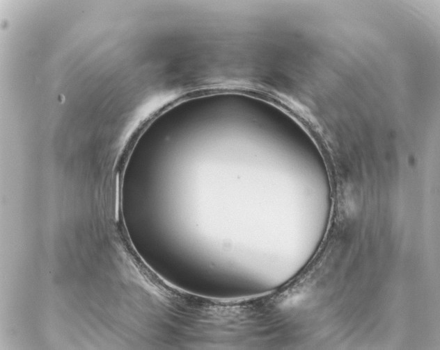 X0000086991223200704231836