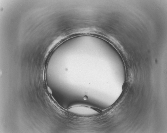 X0000086991224200704231836