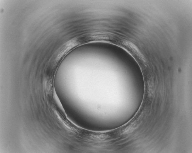 X0000086991225200704231836