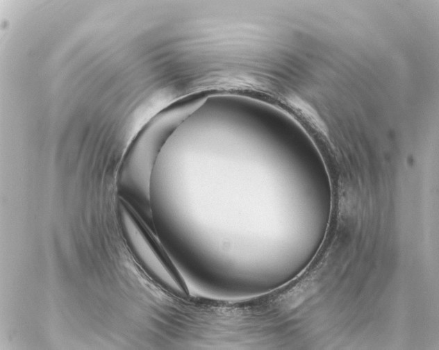 X0000086991226200704231837