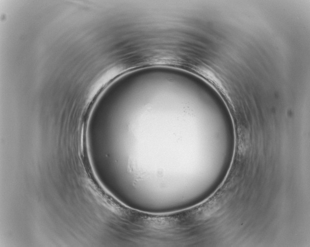 X0000086991227200704231837