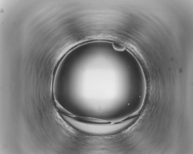 X0000086991228200704231837