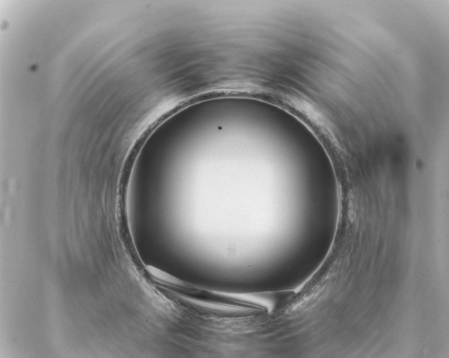 X0000086991229200704231837