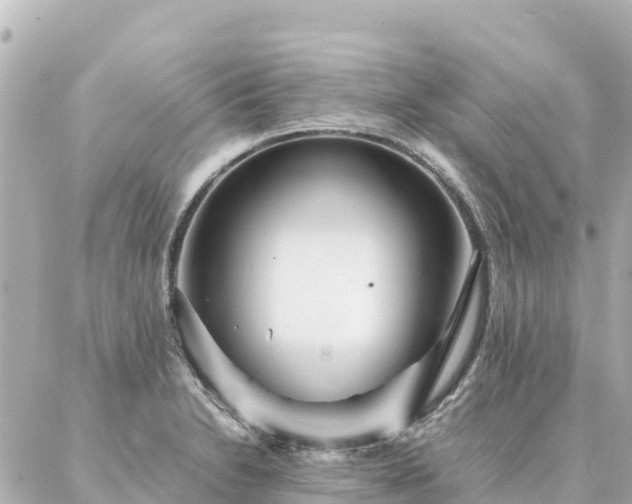 X0000086991230200704231837