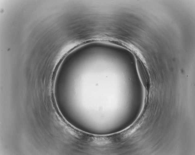 X0000086991231200704231837