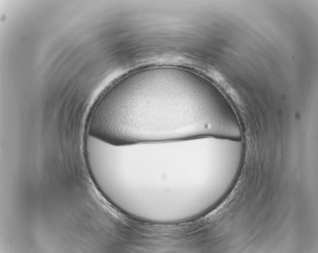 X0000086991232200704231837