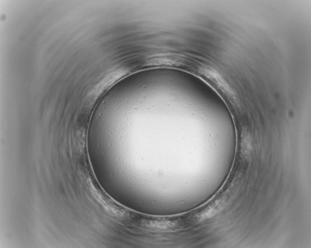 X0000086991233200704231837